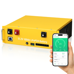 Fe Faith VaultCore™ 48V 100Ah Rackmount Battery
