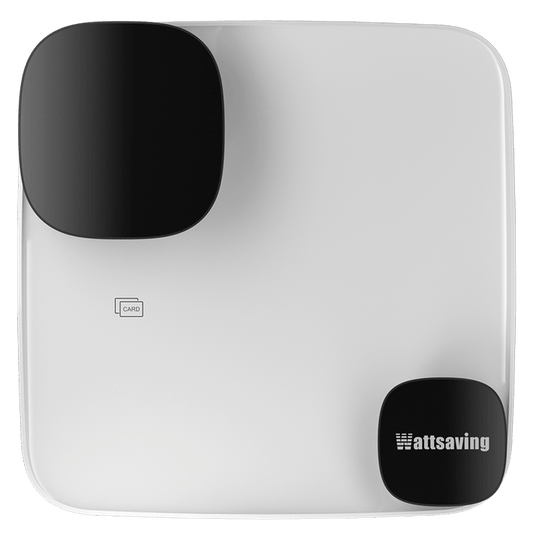 Wattsaving WE X22 22kW face recognition smart AC EV charger with IP65 waterproof design for fast and secure electric vehicle charging